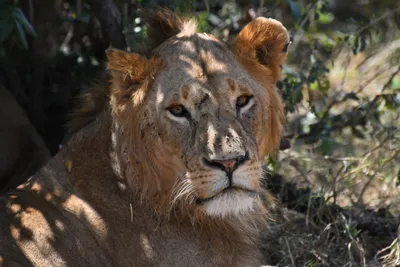 DSC_3559 (Large).JPG